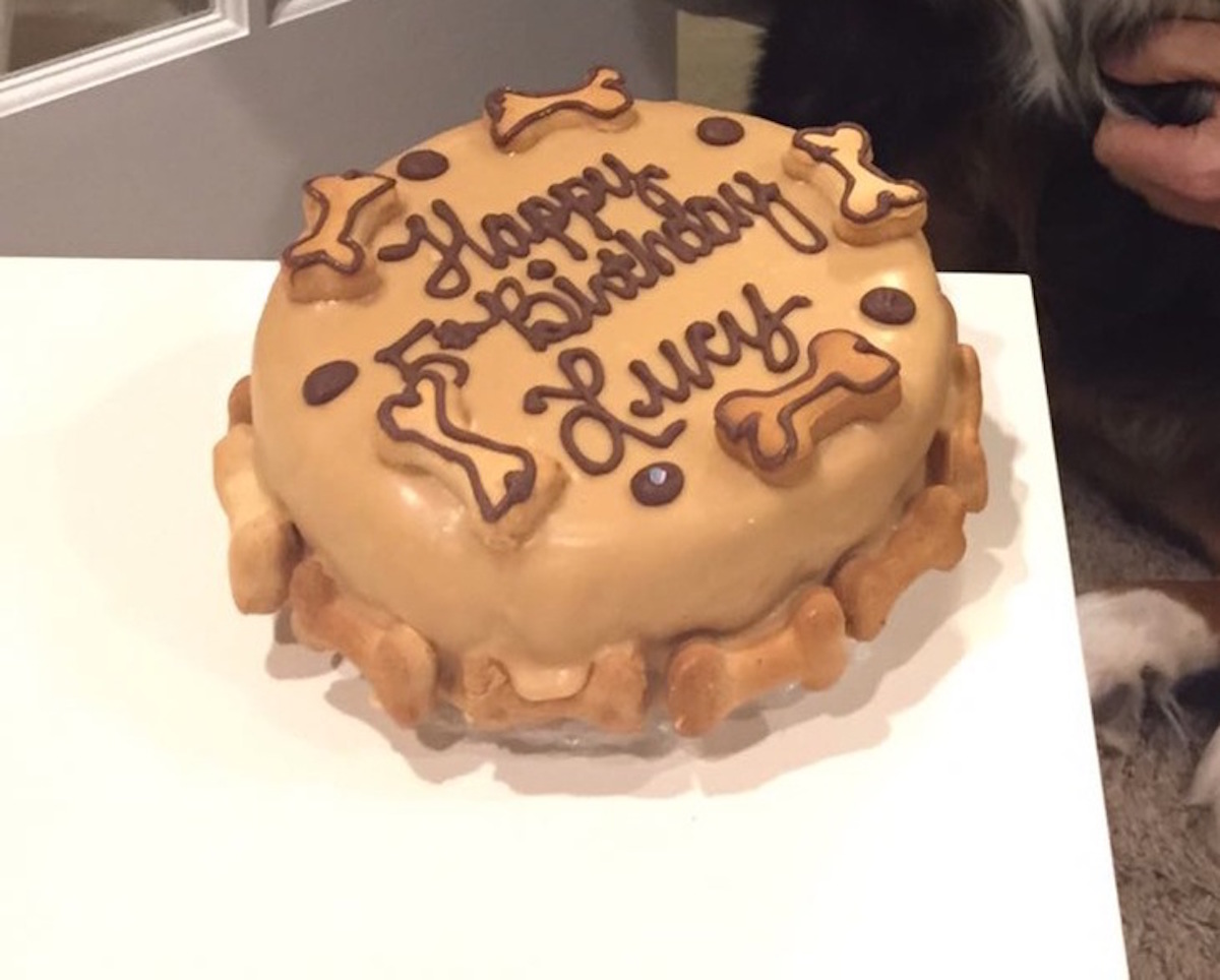 dog-birthday-cake-2.jpg