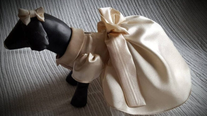 dog-bridesmaid-dress