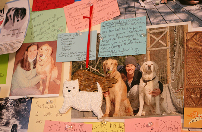 dog-chapel-2-e1434470609600.jpg