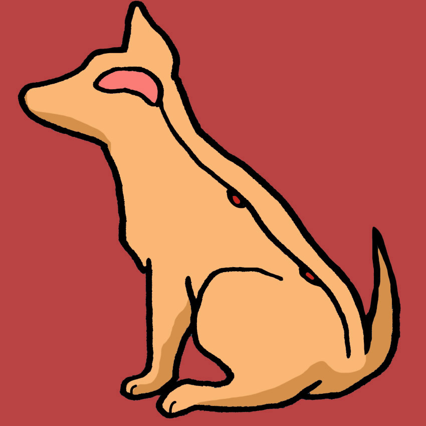 dog-chase-tail-neurological-problem.jpg