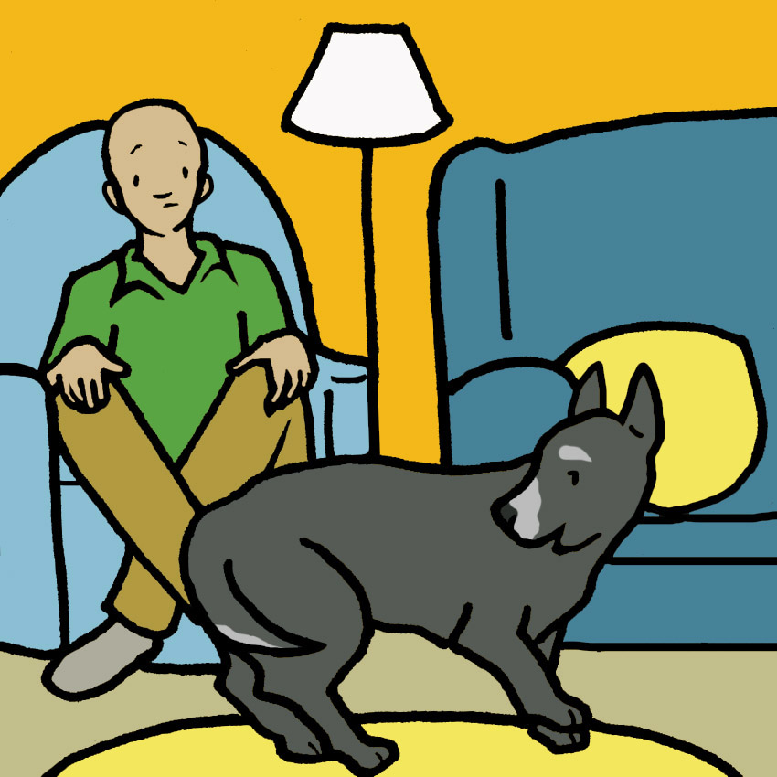 dog-chase-tail-old-age.jpg