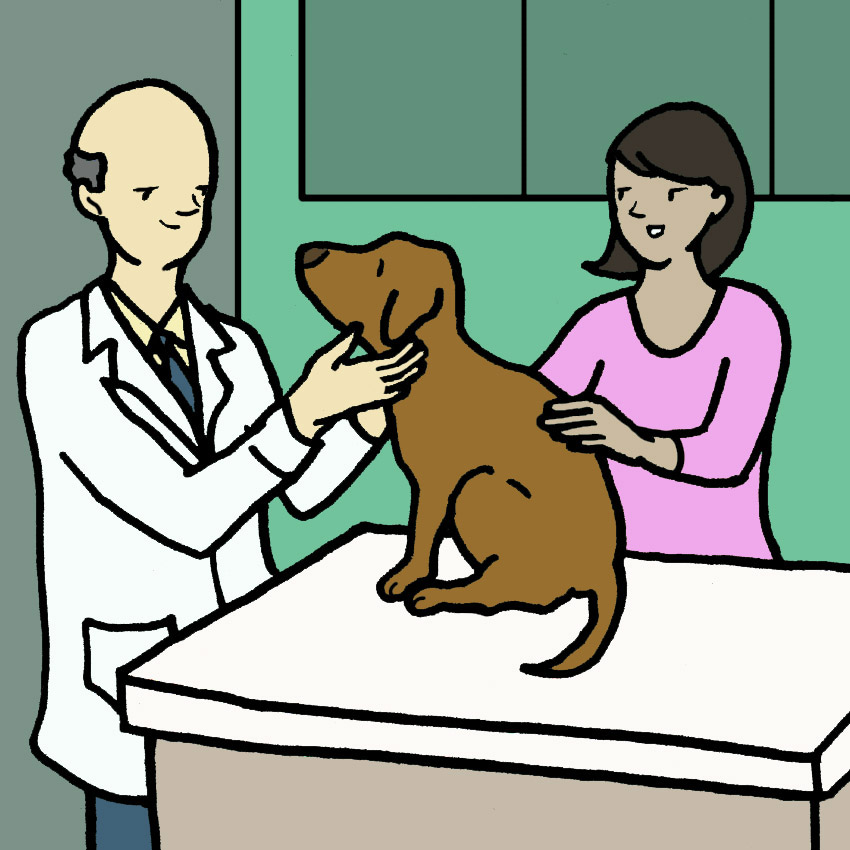 dog-chase-tail-vet-visit.jpg