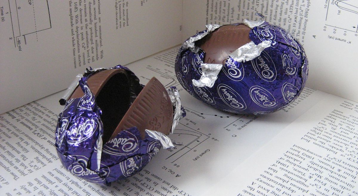 dog-dangers-of-chocolate-4.jpg