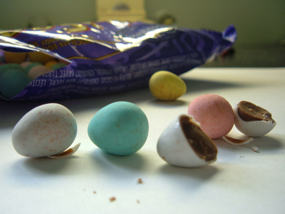 dog-dangers-of-chocolate-6.jpg