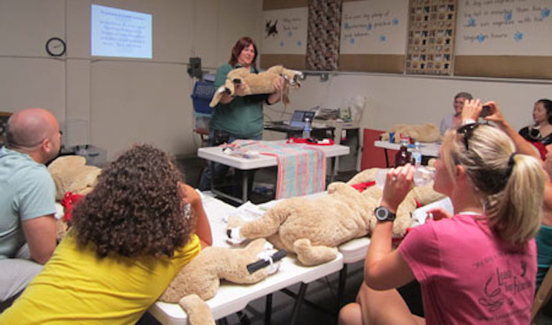 dog-first-aid-classes.jpg