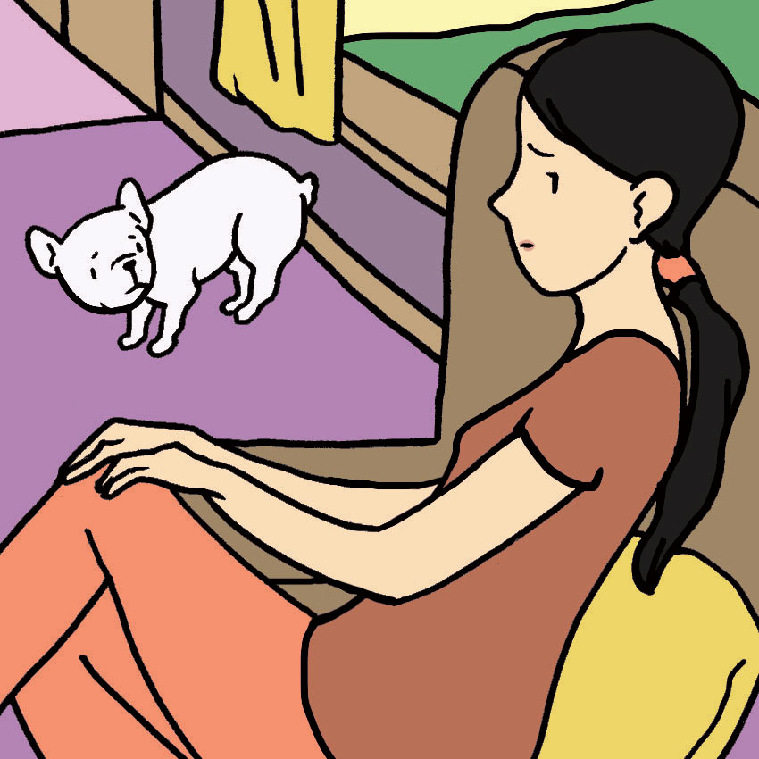dog-in-heat-2.jpg