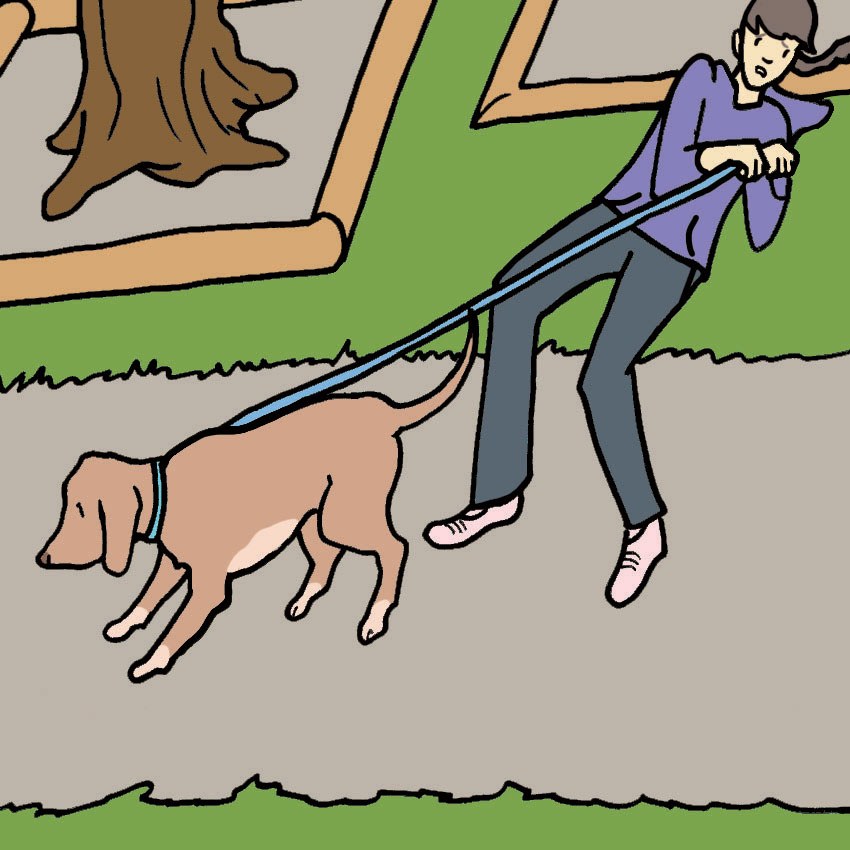 dog-in-heat-5.jpg