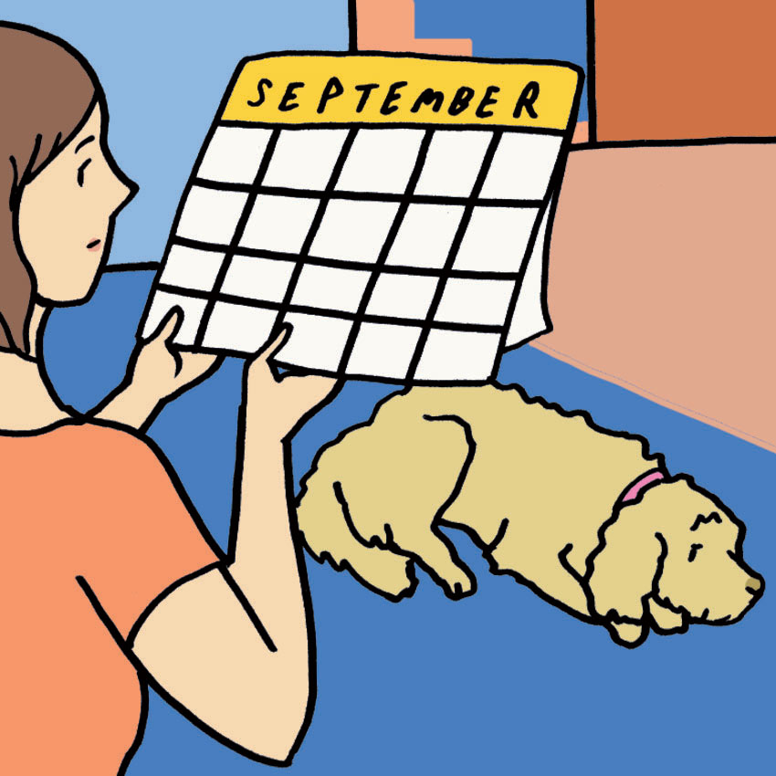 dog-in-heat-6.jpg