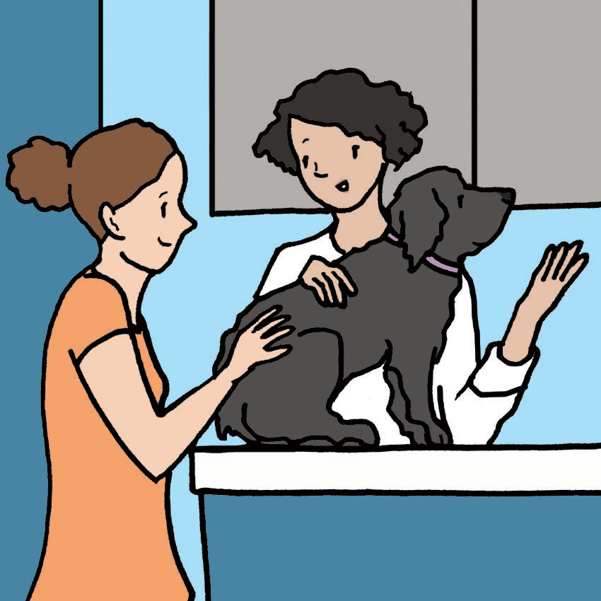 dog-in-heat-8.jpg