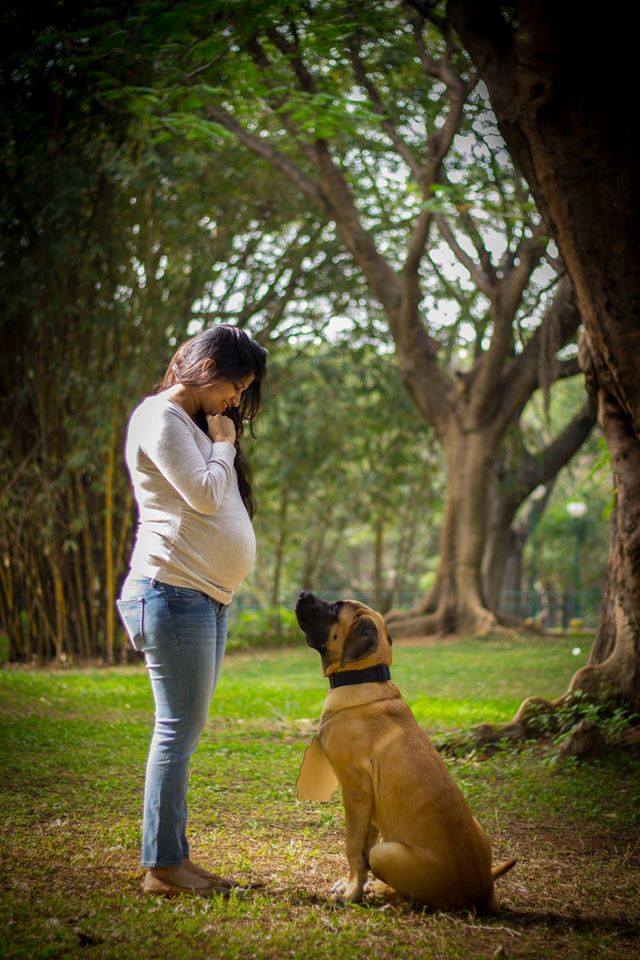 dog-maternity-shoot-11.jpg