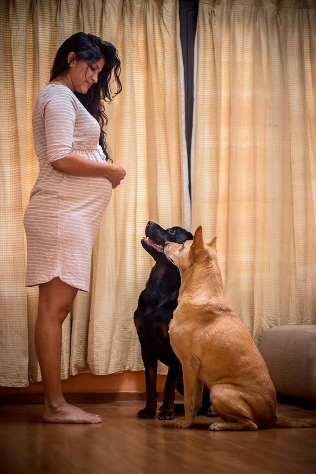 dog-maternity-shoot-3.jpg