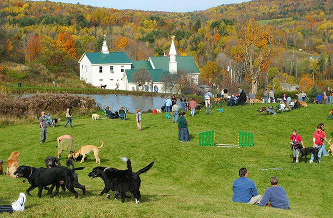 dog-mountain-1-e1434469786312.jpg