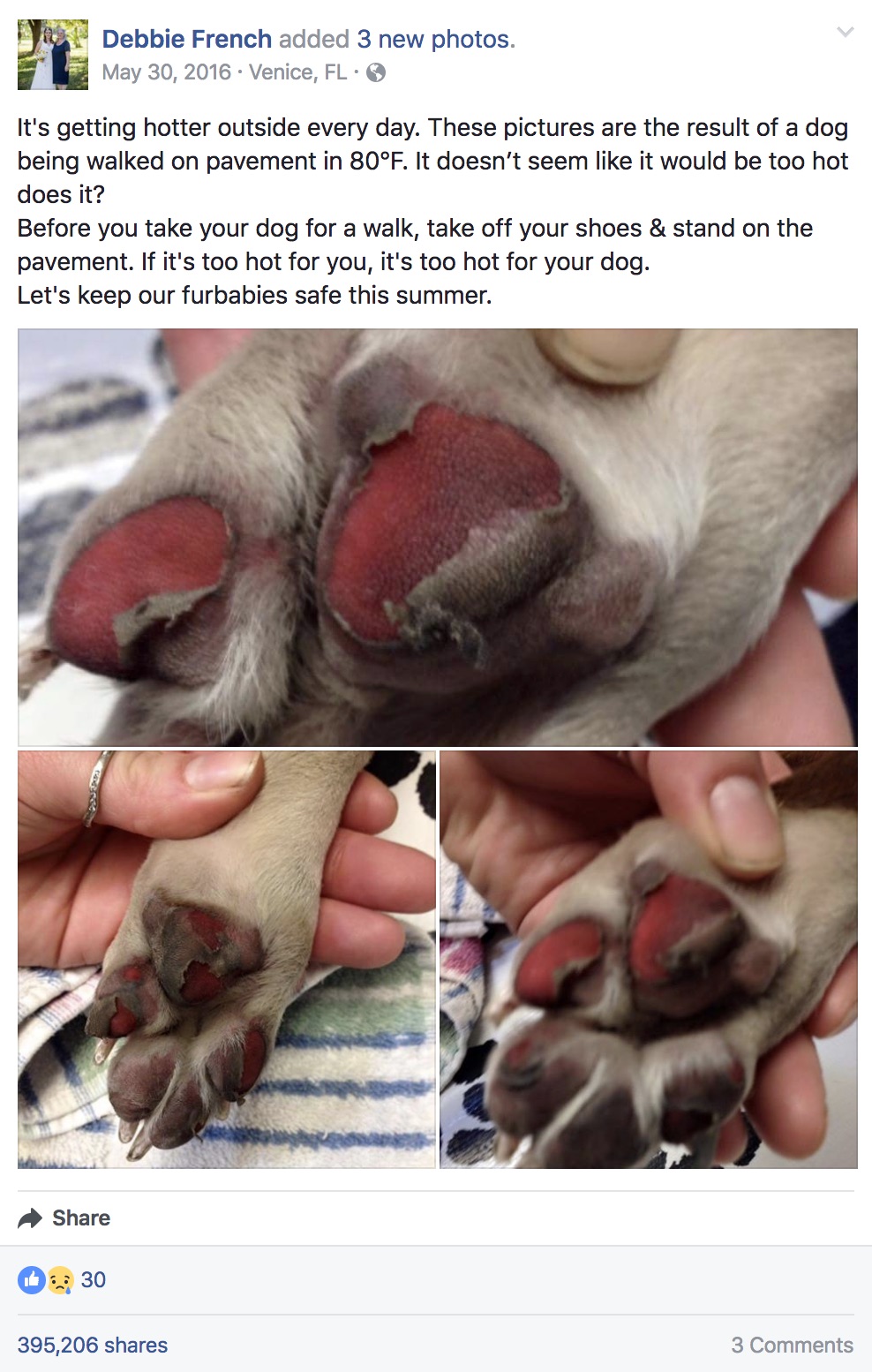 dog-paws.jpg