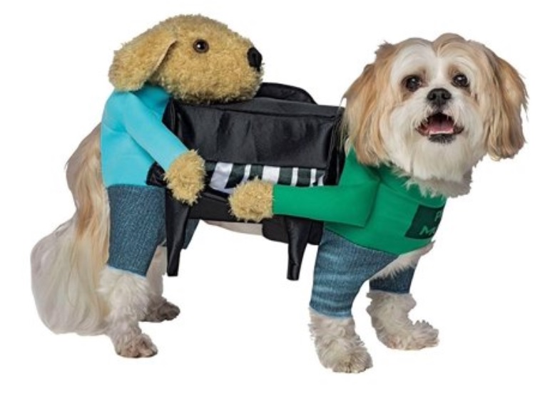 dog-piano-mover.jpg