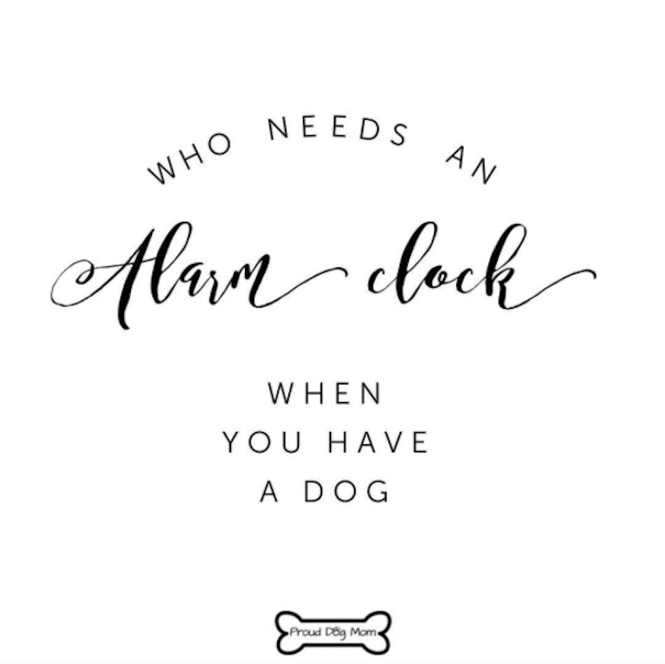 dog-quotes-3.jpg