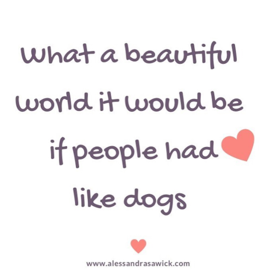 dog-quotes-6.jpg