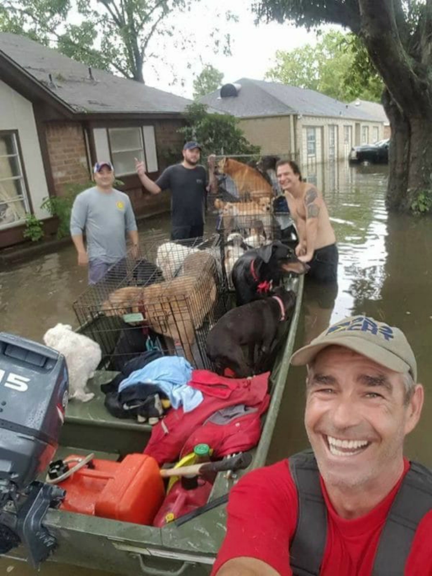 dog-rescue-8.jpg
