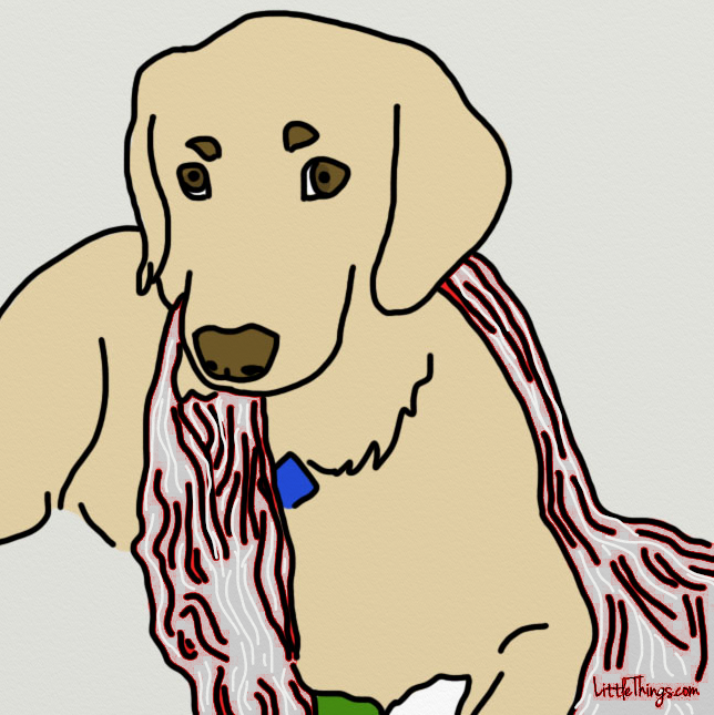 dog-safety.png