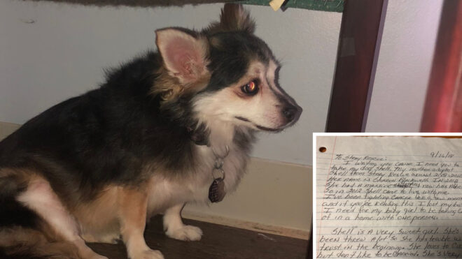 dog suicide note