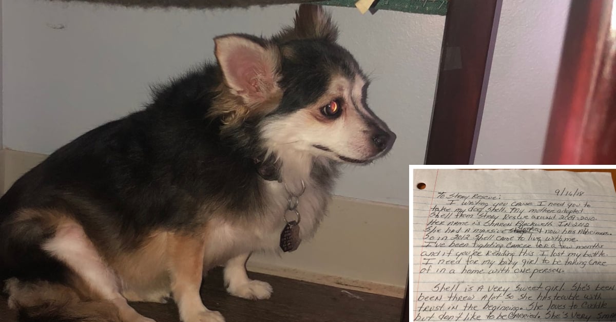 dog suicide note