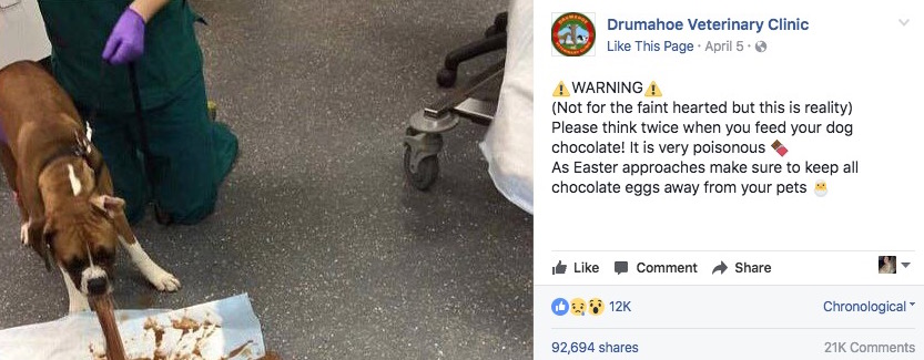 dog-vomit-easter.jpg