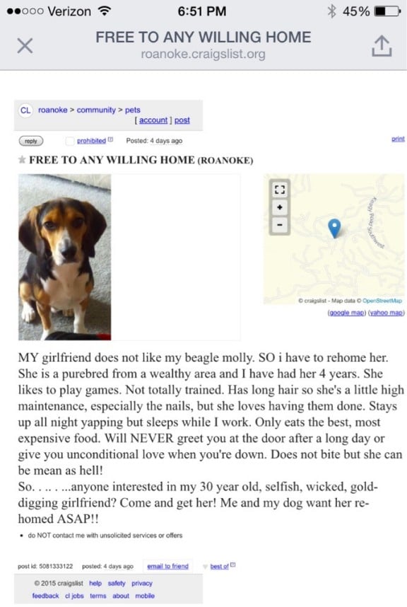 dog2-16.jpg dog2-16.jpg