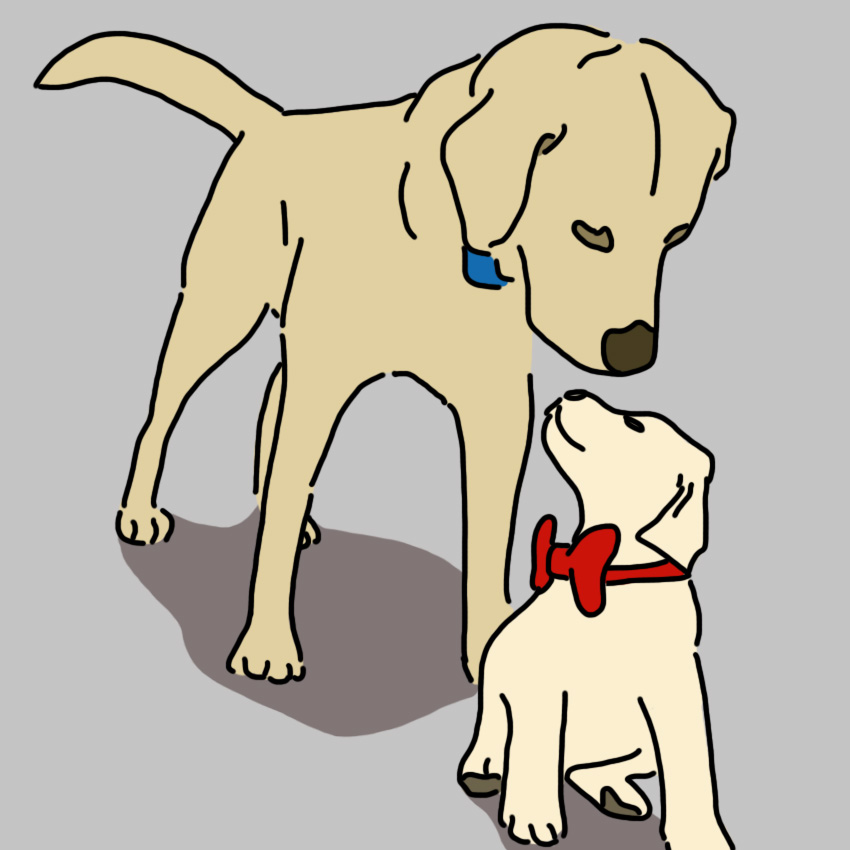 dogdepression_850px_1.jpg