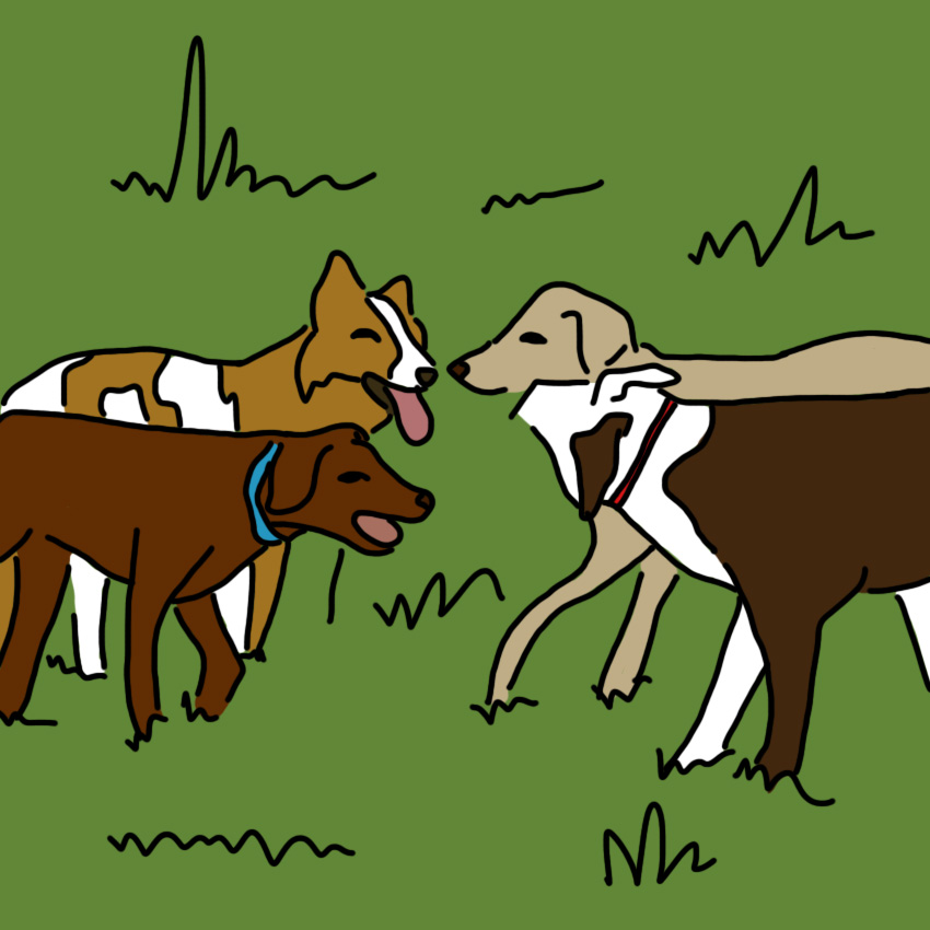 dogdepression_850px_11.jpg