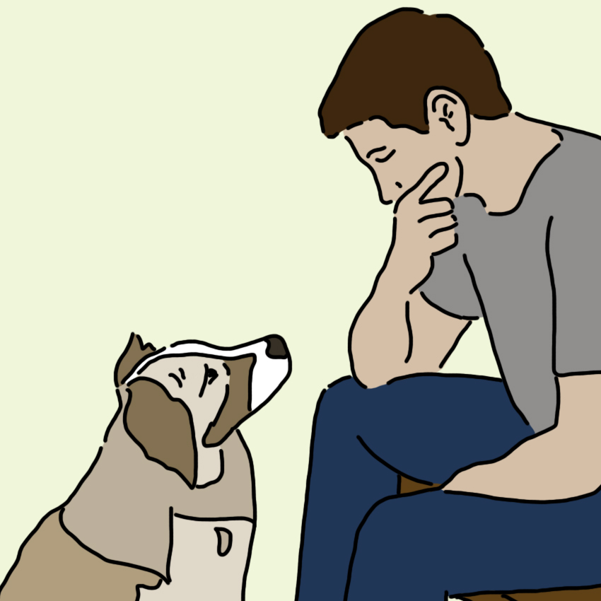 dogdepression_850px_13.jpg