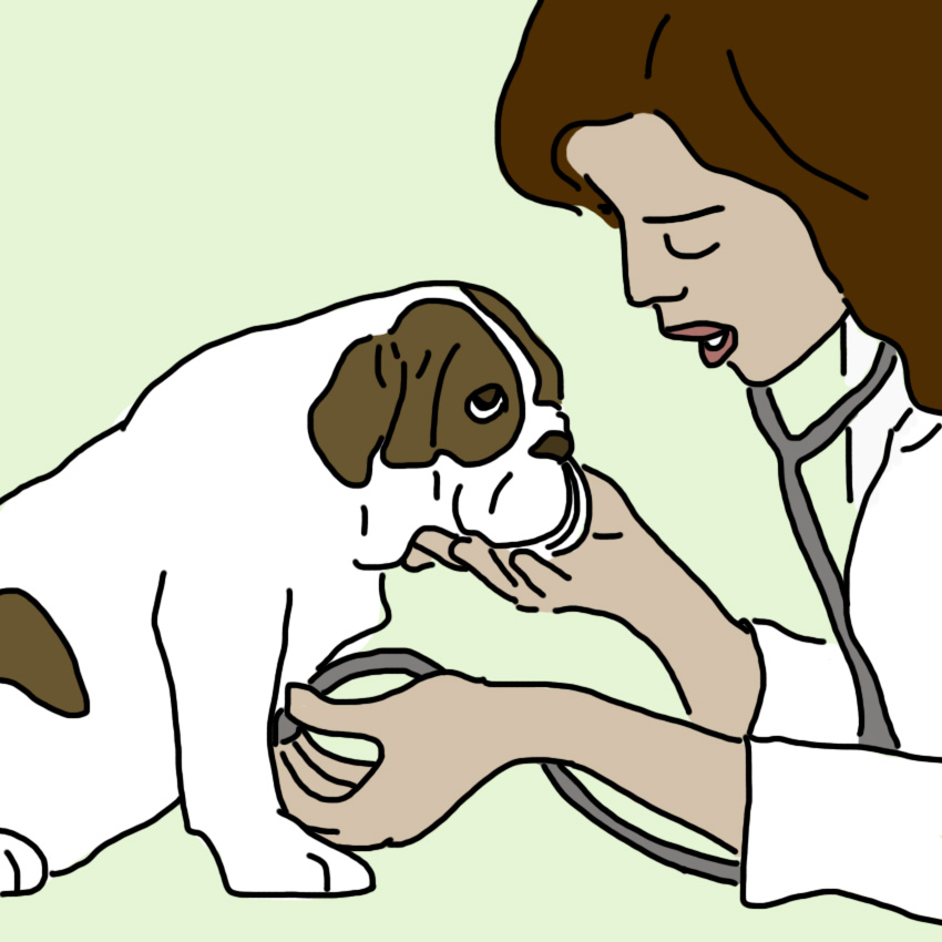 dogdepression_850px_5.jpg