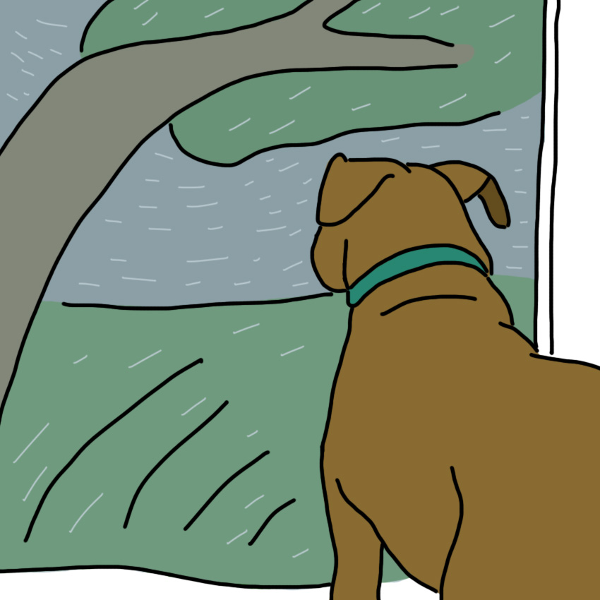 dogdepression_850px_6.jpg