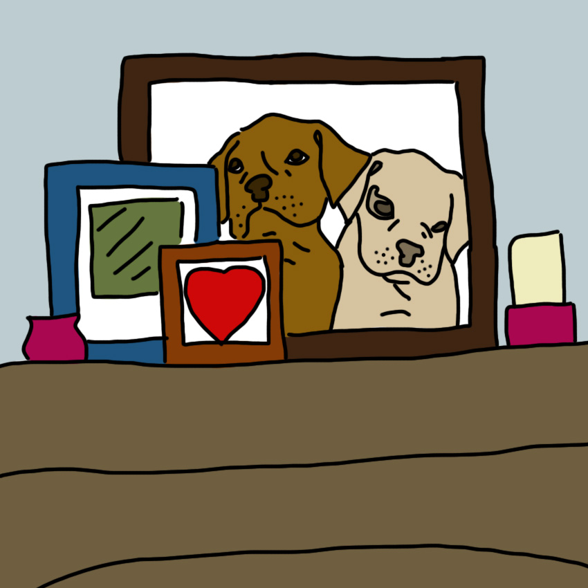 dogdepression_850px_9.jpg