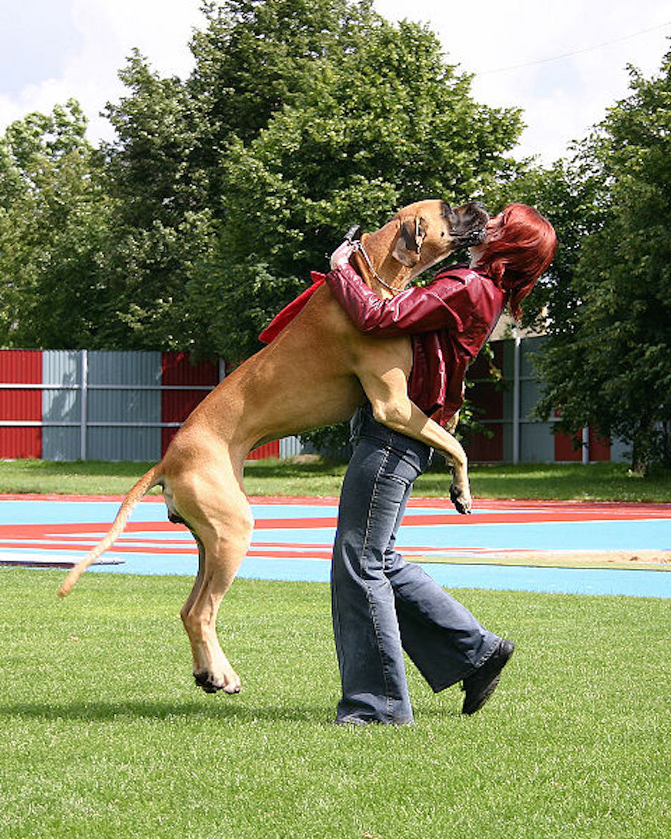 doggie-love.jpg