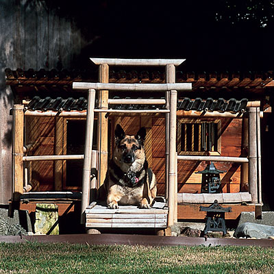 doghouse-bungalow-l.jpg