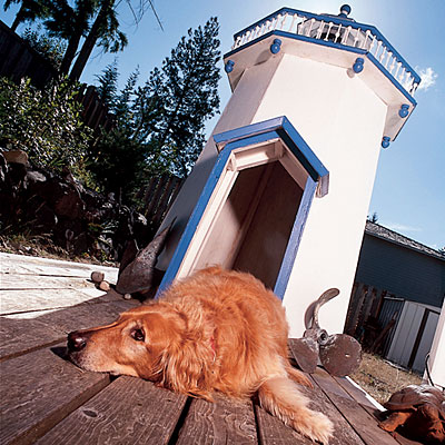 doghouse-lighthouse-l.jpg