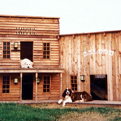 doghouse-old-west-town-l.jpg