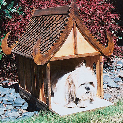 doghouse-temple-l.jpg