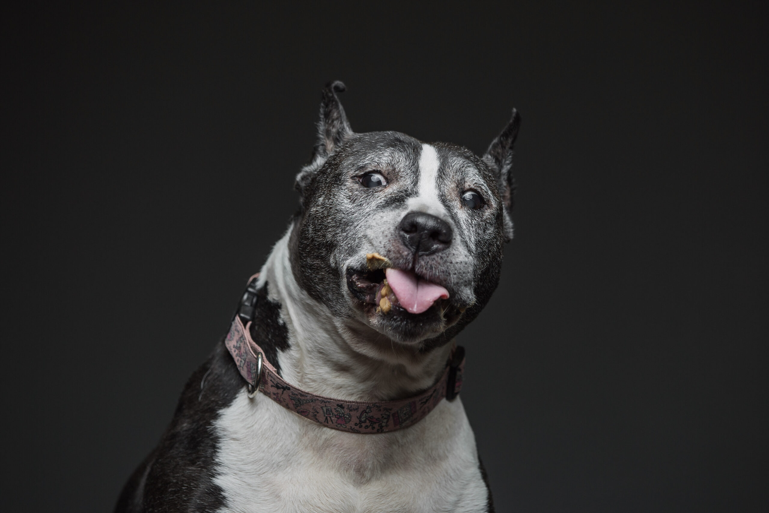 dogpb_9.jpg