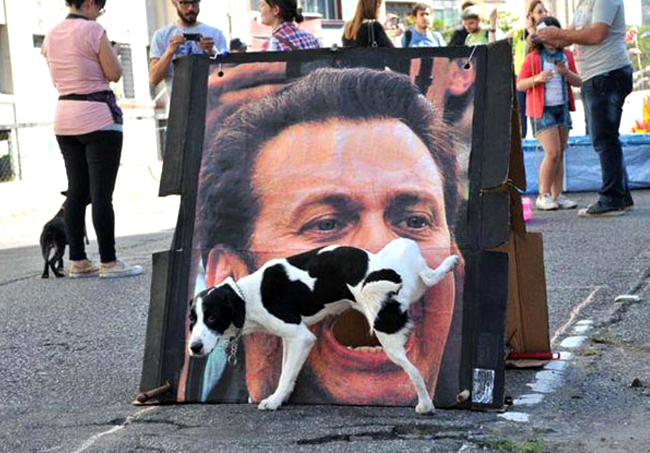 dogpee.jpg