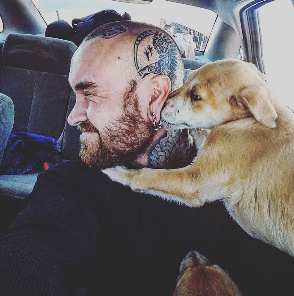 dogs-6.jpg