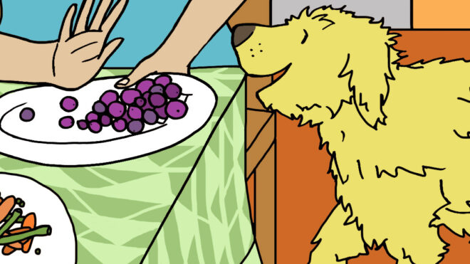 Dog Grapes 1280