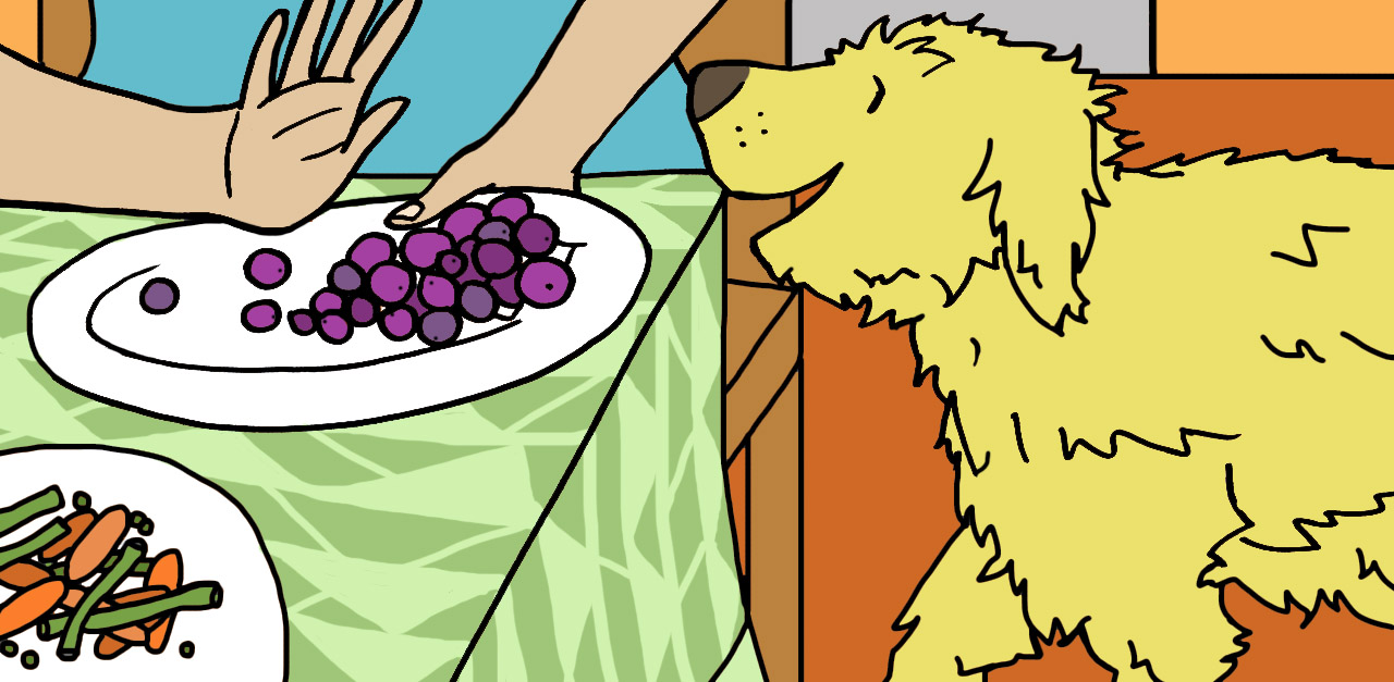 Dog Grapes 1280