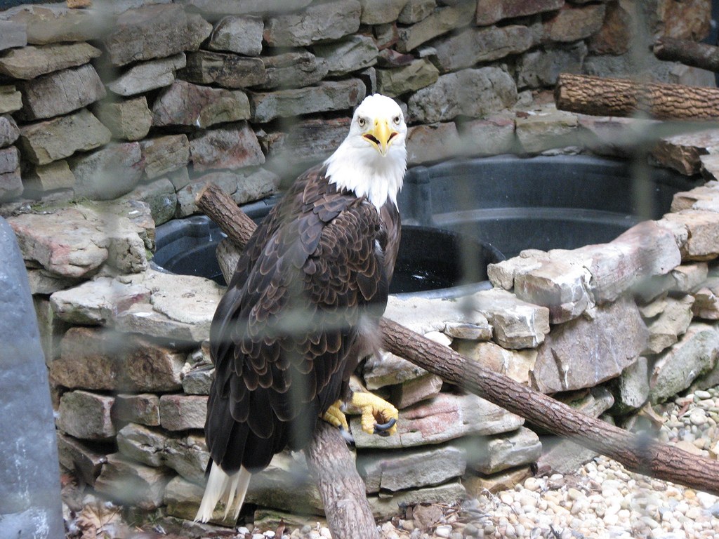 dollywood-5.jpg