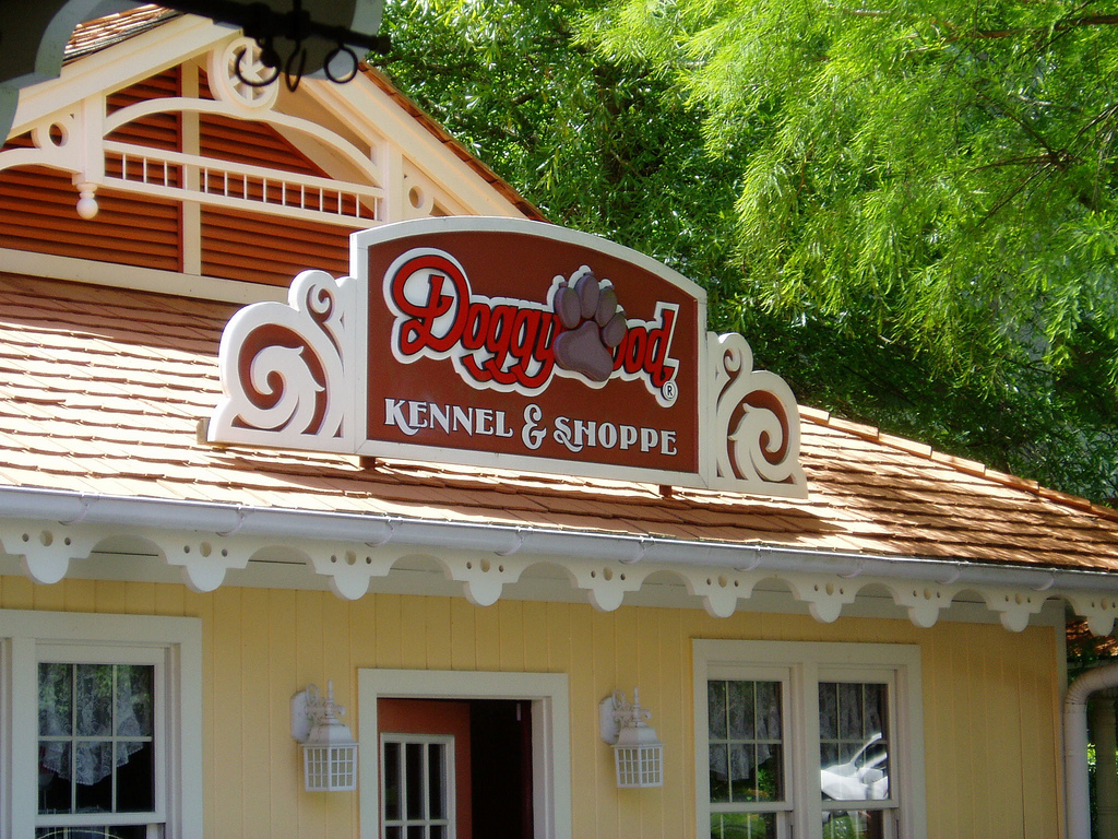 dollywood-7.jpg
