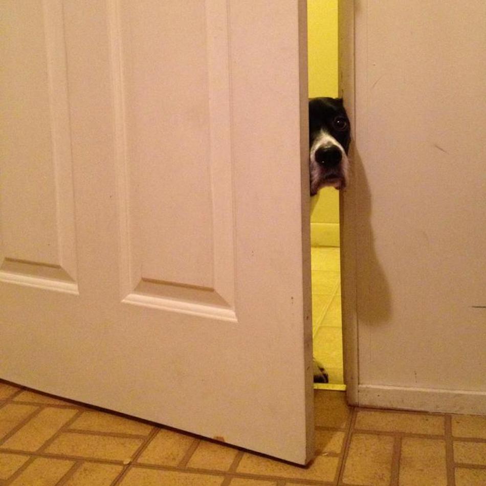 door-4.jpg