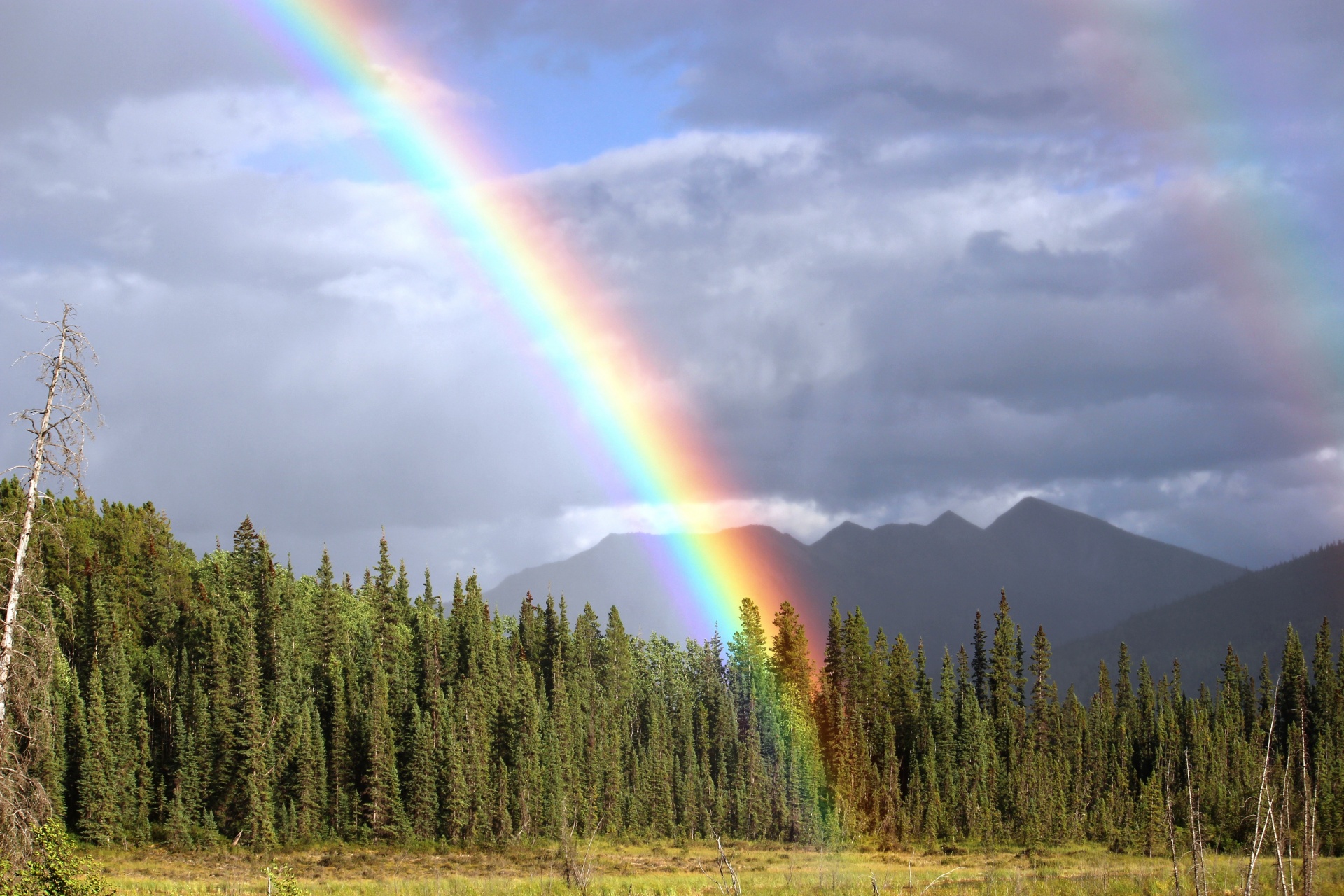 double-arc-en-ciel-paysage-1456429480HGi.jpg