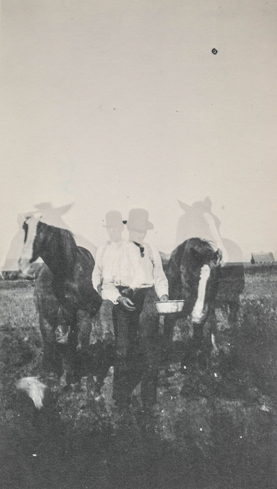 double-horse.jpg