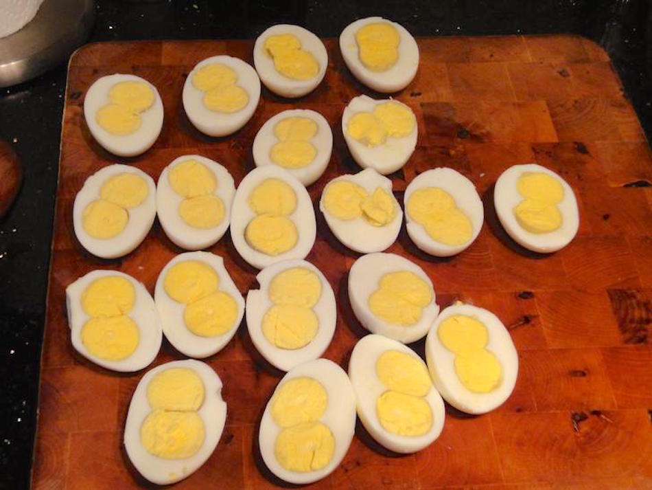 double-yolk.jpg