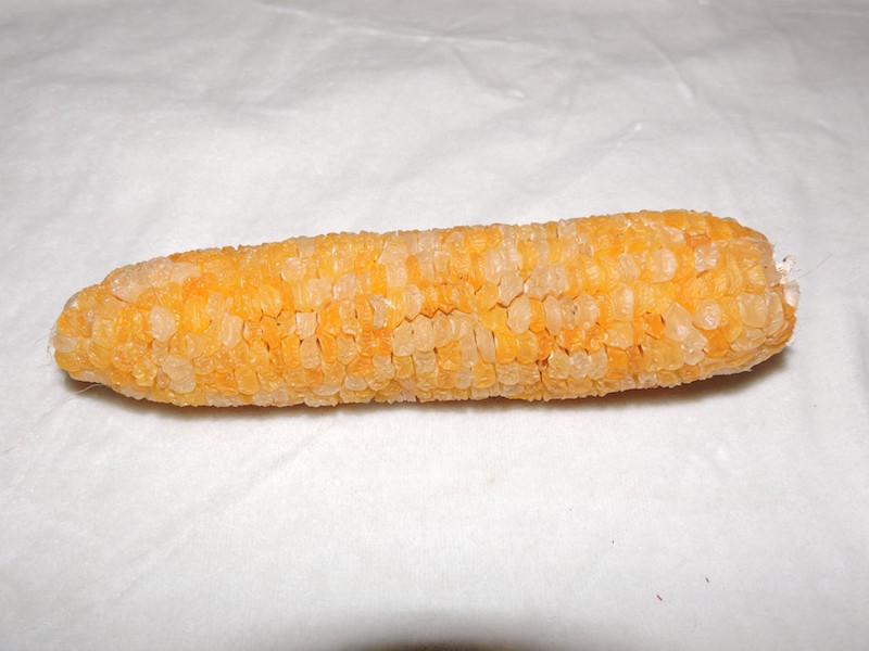 dry-corn-cob.jpg