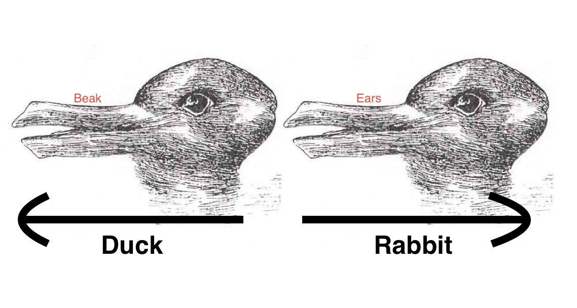 duck-rabbit.jpg